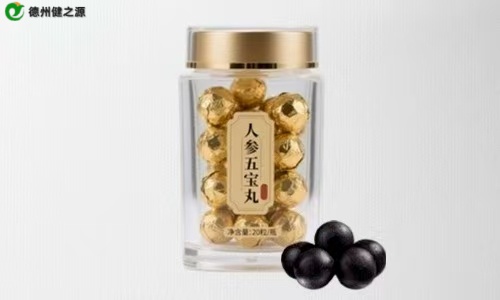 藥食同源大蜜丸代加工生產前提-德州健之源